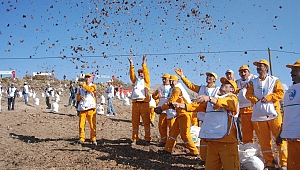 "FİDAN DİKİMİNE ELVERİŞLİ BÜTÜN DAĞLAR AĞAÇLANDIRILACAK"