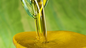 "ZEYTİNYAĞI SEKTÖRÜ İHRACATINI ÜÇE KATLADI"