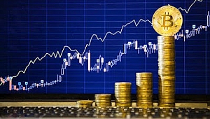 'Bitcoinzede' Olma, Finansal Okuryazar Ol