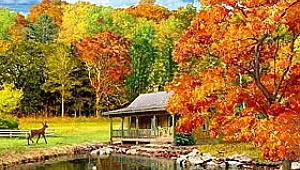 Ekranınız, hırsıza "gel" mi diyor?