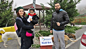 EVSİZ KEDİ KALMASIN DİYE