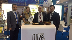 ORTADOĞU’YA ZEYTİNYAĞI İHRACATI YÜZDE 103 ARTTI