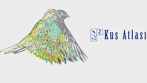 TÜRKİYE ÜREYEN KUŞ ATLASI OLUŞTURULDU