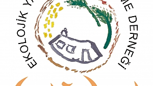 OLUMSUZ ÖRNEKLER SEKTÖRE MAL EDİLMEMELİ