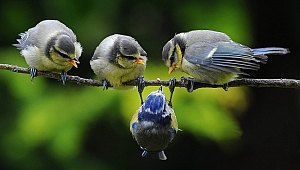 POZİTİF BAKIŞ AÇISI MUTSUZLUĞU AZALTIYOR