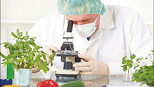 Yeni: İşte sağlığa zararlı ürünlerin tam listesi