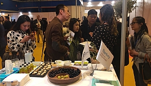 Zeytinyağında İspanya'ya ihracat gelirimiz yüzde 113 arttı