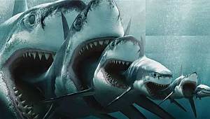 AVM arttıkça esnaf azalıyor