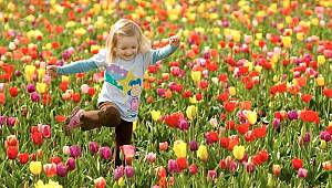 Bu önerilere uyun, baharı rahat geçirin