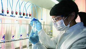 Çinli araştırmacılar kanser kök hücre tedavisi için yeni ilaç geliştirdi