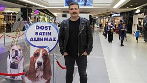 "Dost Satın Alınmaz Fotoğraf Sergisi" hayvan dostlarını davet ediyor