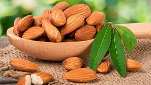 Günde 20 bademin 9 faydası