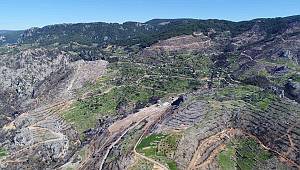 Yanan ormanlık alanı yeniden yeşillendiriliyor