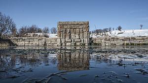 12 balık türü hayatta kalma mücadelesi veriyor