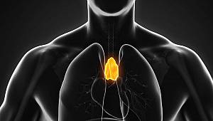 Bağışıklık sistemini güçlendiren öneriler