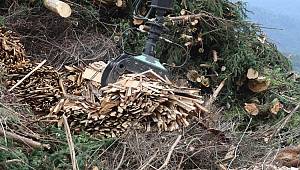 Enerji arz güvenliği için sıra "Biyokütle" de