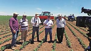 Hatalar nedeniyle Konya ve Iğdır ovaları çoraklaştı