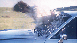 Kemer takmak acemilikten değil, sevdiklerimize olan saygımızdandır