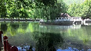 Kuğulu Park, 234. Tabiat Parkı oldu