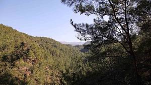 Şahin Tepesi, 231.Tabiat Parkı ilan edildi