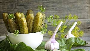 Salatalık ve kornişon ihracatının yüzde 83’ü AB ülkelerine