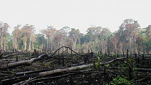 Tarihi ve doğayı yok edecek projelere hayır!