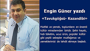 Tavukgöğsü-Kazandibi