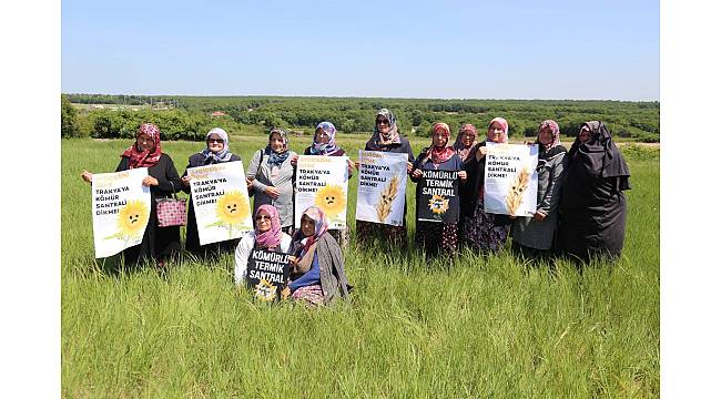 TEMA Vakfı'ndan "Kömür Üzer" kampanyası