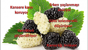 Bu küçücük meyvede büyük faydalar saklı!