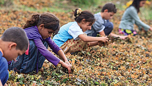 Çocuklar İş'te Değil Okulda