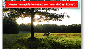 E-imzayla 41 bin ağaç kurtarıldı