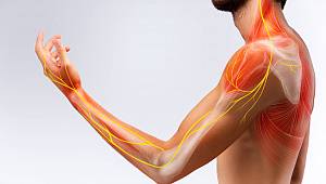 El ve ayaklardaki uyuşmalar TTR-FAP belirtisi olabilir