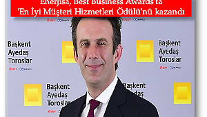 Enerjisa, İngiltere’den ödül aldı