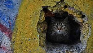 Kadın Gözüyle Hayattan Kareler Sergisi Sabiha Gökçen’de