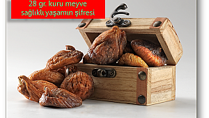 Sağlıklı yaşam için günde en az 28 gr kuru ve kabuklu meyve tüketin