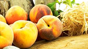 Şeftali ve nektarin ihracatında Rusya bereketi