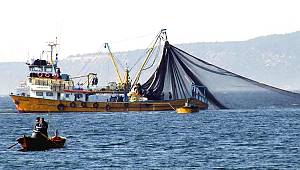 Su ürünleri üretimi 2017 yılında %7,2 arttı