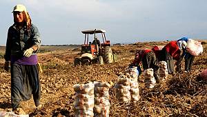 Tarım sektörü uyarı veriyor
