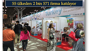 Türk gıda ürünleri New York yolcusu