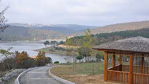 "Uluslararası Kent Ormanı” Eyüpsultan'da açılıyor