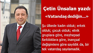 Vatandaş dediğin...