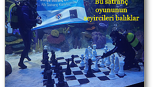 Bu satranç oyununun seyircileri balıklar