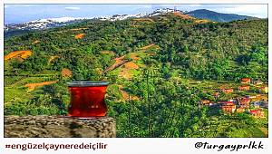 Çocuklar için: En güzel ÇAY nerede içilir projesi