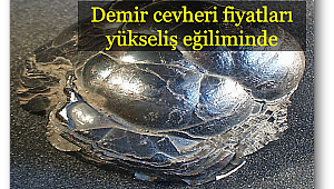 Demir cevheri fiyatları yükseliş eğiliminde