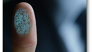 Dijital vatandaş olmanın kuralları var