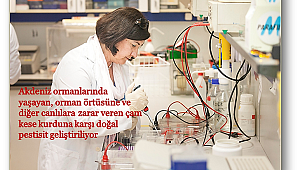 Doğaya ve insana zarar vermeyen pestisit geliştiriliyor