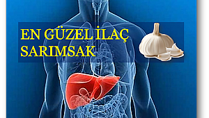 Karaciğer yağlanmasından korunmak sizin elinizde