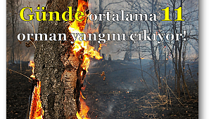 Orman yangınlarının büyük kısmı insan kaynaklı!