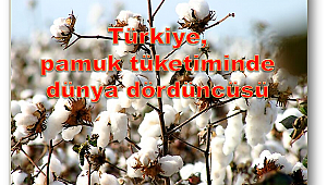 Pamuğun kaderi İzmir'de yazılacak!