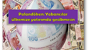 Yeni dönemde TL'ye yatırım yapanlar kazanır